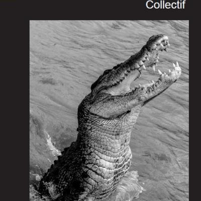 Le Caïman se rebiffe (hors collections)