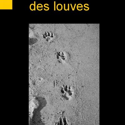 La confrérie des louves, de Florence Rhodes