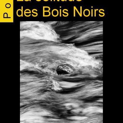 La solitude des Bois Noirs, Maria P. Mischitelli