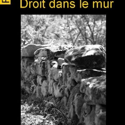 Droit dans le mur,  Nick Gardel
